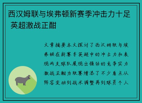 西汉姆联与埃弗顿新赛季冲击力十足 英超激战正酣 西汉姆联与埃弗顿新赛季冲击力十足 英超激战正酣